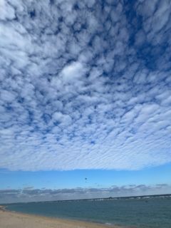 今日はあやまる岬から笠利崎に移動。
午前中の青空も、次第次第に雲に覆われてきました。
ひつじ雲が広がってきたら「この後天気崩れる可能性が高い」と言われますよね。
はい、明日はお天気は崩れますねー。
見えない風を利用するパラグライダーは、雲も勉強するんですよ☁️

#奄美
#奄美パラグライダー
#パラグライダー体験
#モーターパラグライダー
#ハッピースカイ
#ひつじ雲
#高積雲