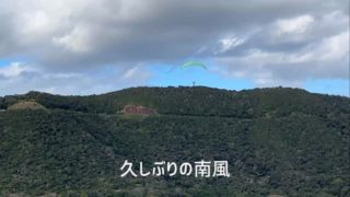 久しぶりの南風
今日はミサゴが一緒に飛んでくれました♪